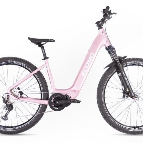 Električno kolo ECONO Gams MTB 29 EEC6