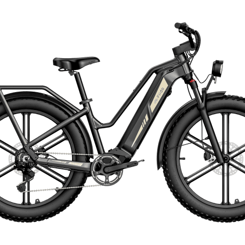 Električno kolo Titan