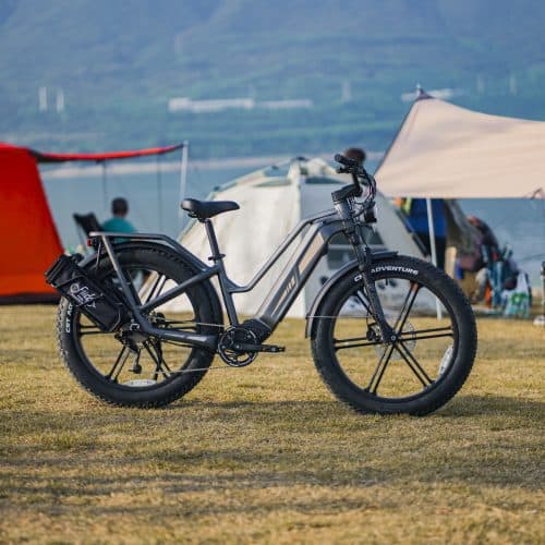 Električno kolo Titan