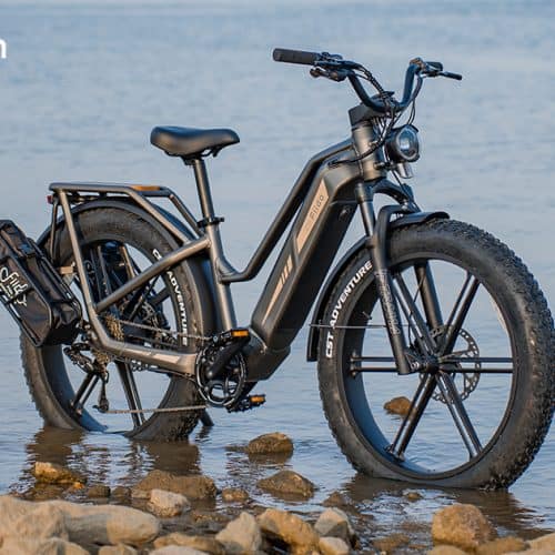 Električno kolo Titan