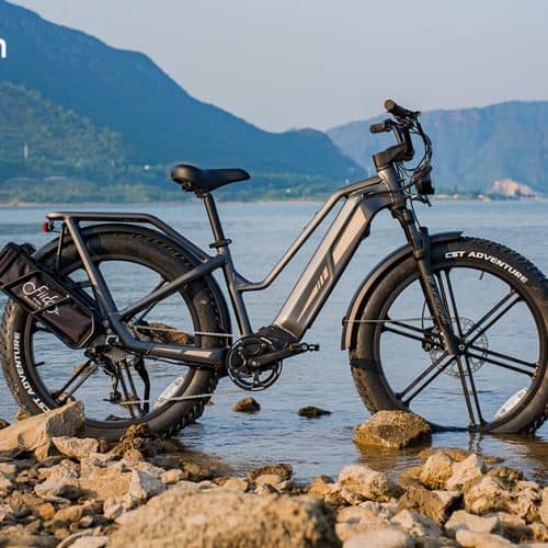 Električno kolo Titan