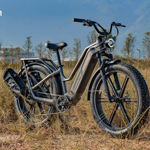 Električno kolo Titan