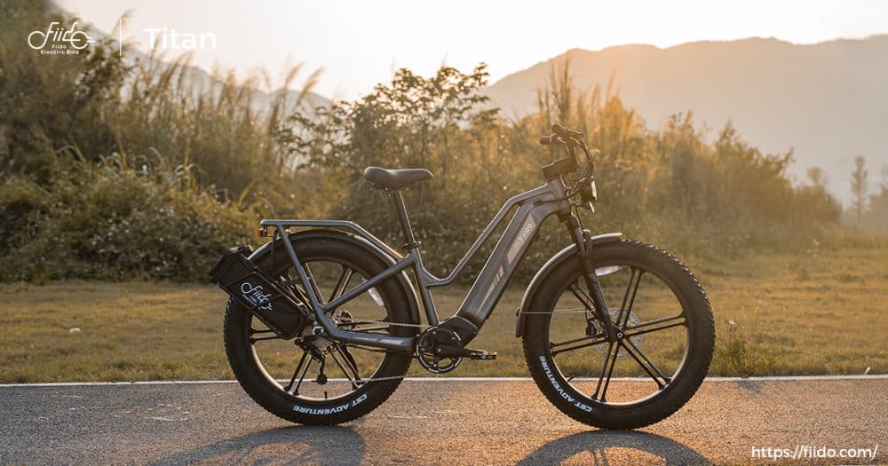 Električno kolo Titan