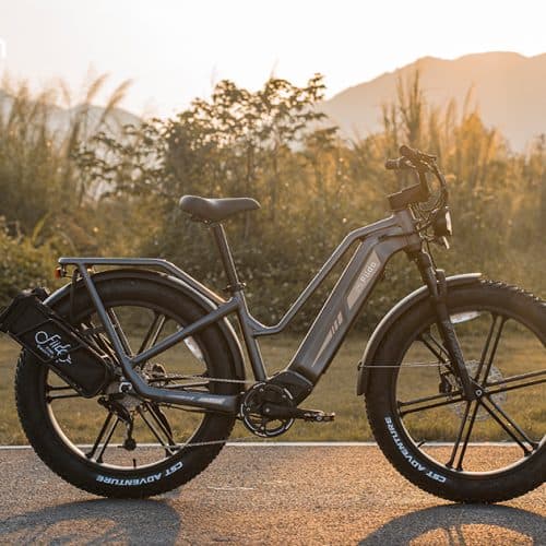 Električno kolo Titan